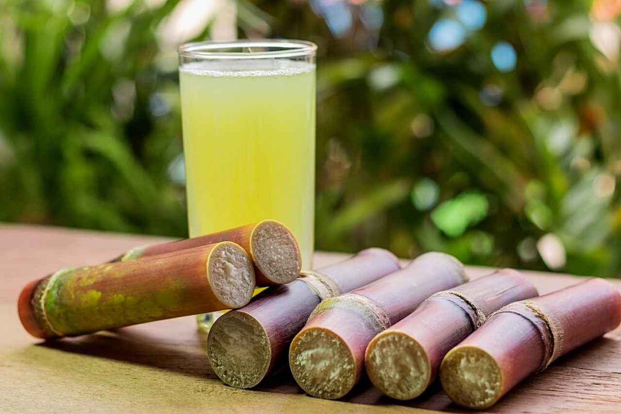 Sugarcane juice and sticks placed in a crop field -- weight loss drink